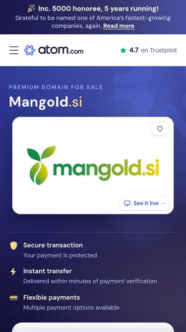 Screenshot of mangold.si