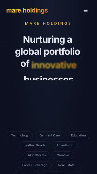 Screenshot of mare.holdings