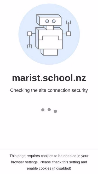 Screenshot of marist.school.nz
