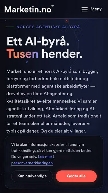 Screenshot of marketin.dk