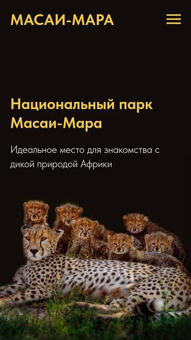 Screenshot of masaimara.ru
