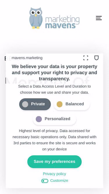 Screenshot of mavens.marketing