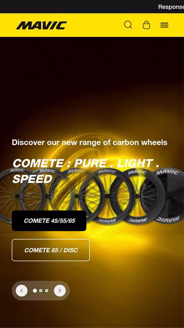 Screenshot of mavic.org