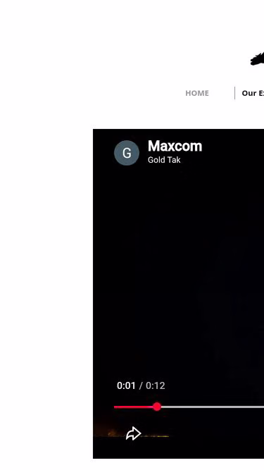 Screenshot of maxcom.info