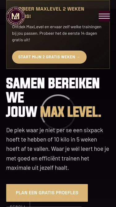 Screenshot of maxlevel.nl
