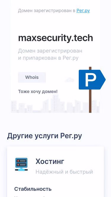 Screenshot of maxsecurity.tech