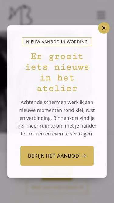 Screenshot of mbstudio.be