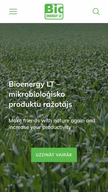 Screenshot of mdk.lt