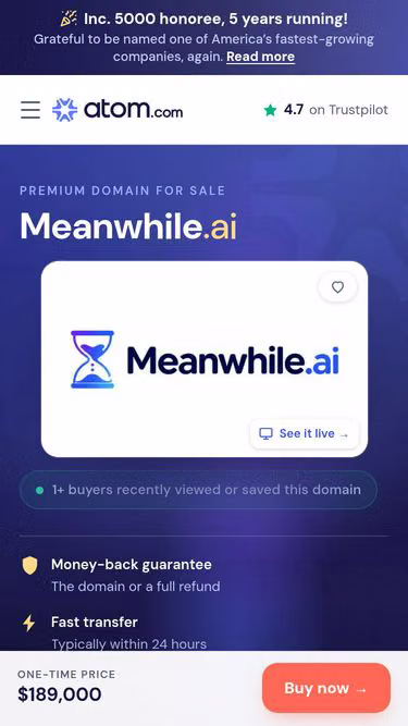 Screenshot of meanwhile.ai