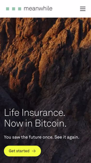 Screenshot of meanwhile.fit