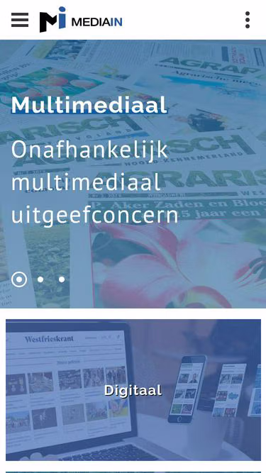 Screenshot of mediain.nl
