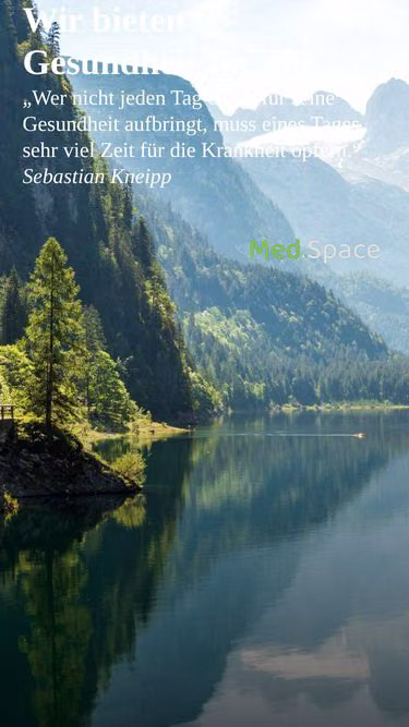 Screenshot of medspace.gmbh