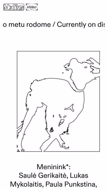Screenshot of meduza.fyi