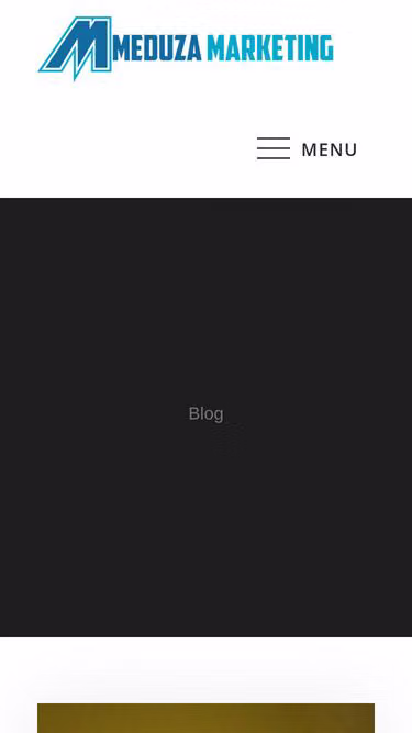 Screenshot of meduza.info