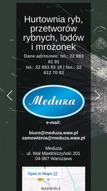 Screenshot of meduza.waw.pl