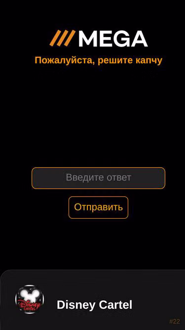 Screenshot of mega.business