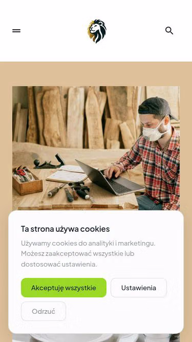 Screenshot of megamax.pl