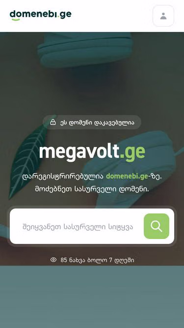 Screenshot of megavolt.ge