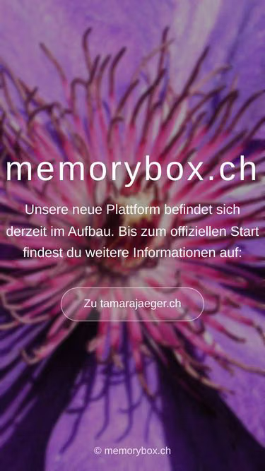 Screenshot of memorybox.ch