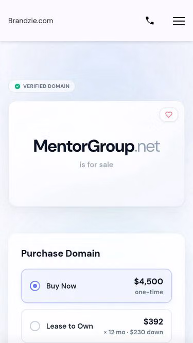 Screenshot of mentorgroup.net