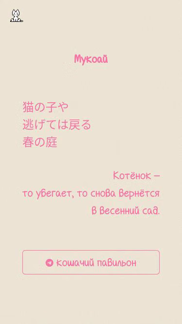Screenshot of meow.moscow
