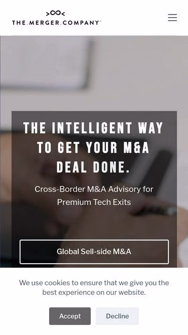 Screenshot of merger.company