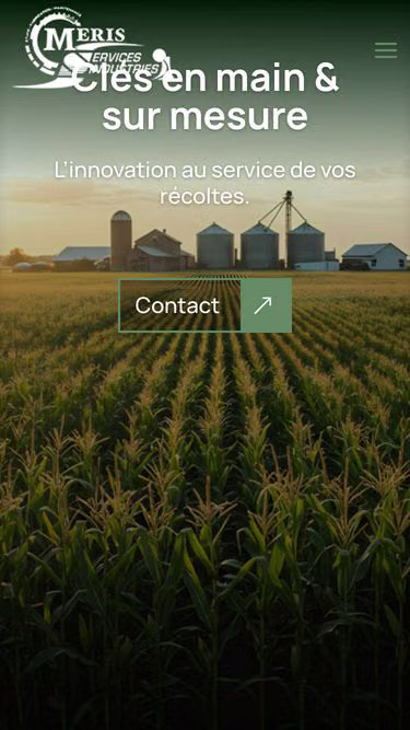 Screenshot of meris.fr