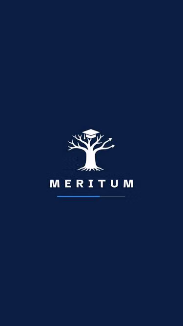 Screenshot of meritum.co.tz