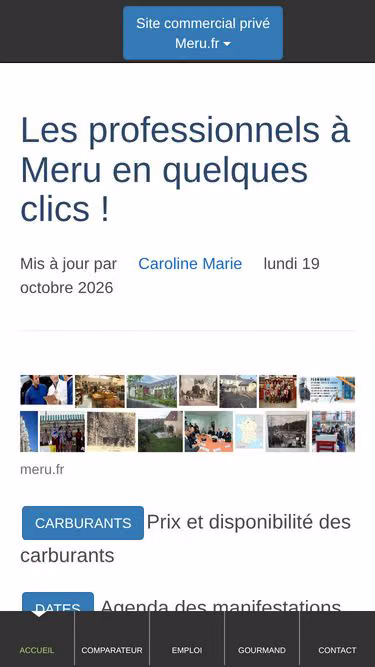 Screenshot of meru.fr