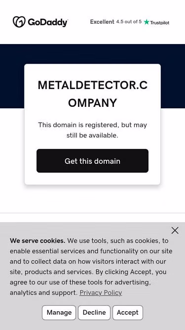 Screenshot of metaldetector.company