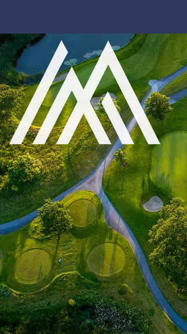 Screenshot of meticulous.ie