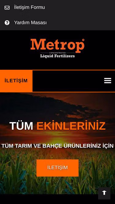 Screenshot of metrop.tk