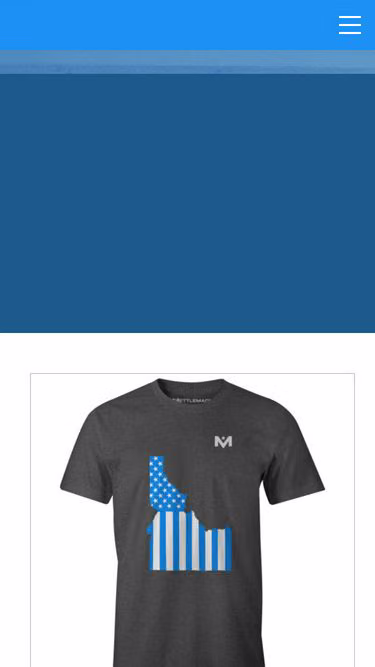 Screenshot of mettle.store