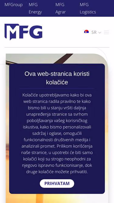 Screenshot of mfgroup.rs