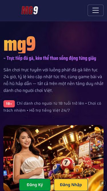 Screenshot of mg9.cam
