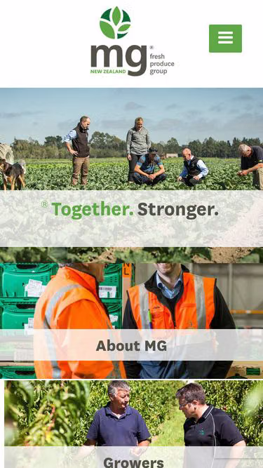 Screenshot of mggroup.co.nz