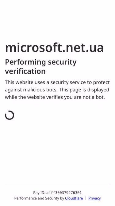 Screenshot of microsoft.net.ua