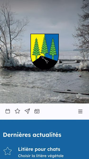 Screenshot of mies.ch