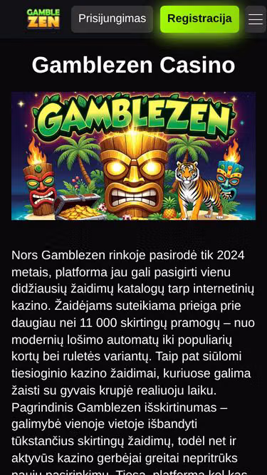 Screenshot of mikros.lt