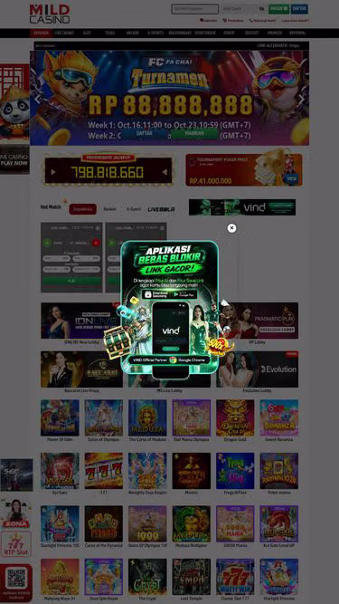 Screenshot of mildcasinogo.cfd
