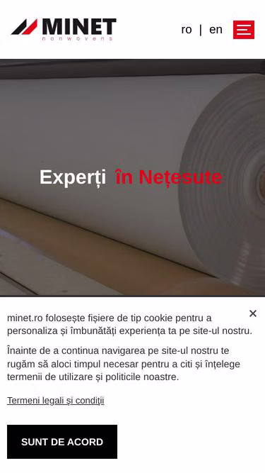 Screenshot of minet.ro