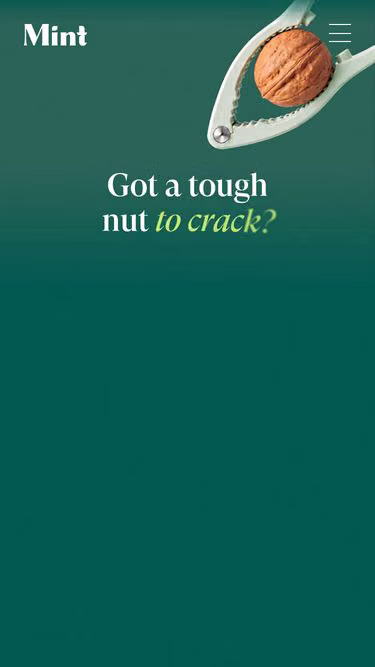 Screenshot of mint.co.nz