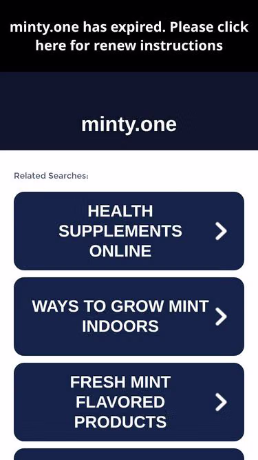 Screenshot of minty.one