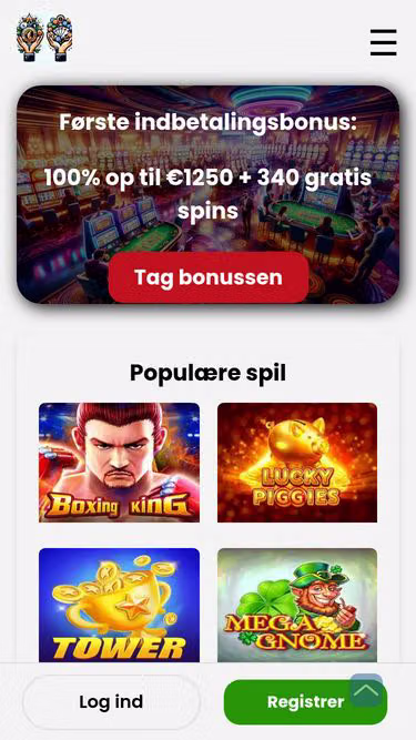 Screenshot of mirax.dk