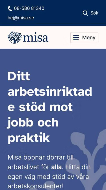 Screenshot of misa.se