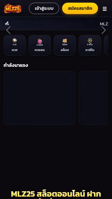 Screenshot of mlz25.top