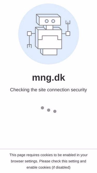 Screenshot of mng.dk