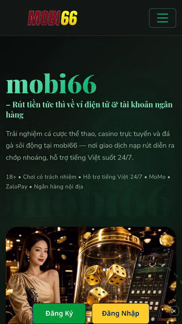 Screenshot of mobi66.cam