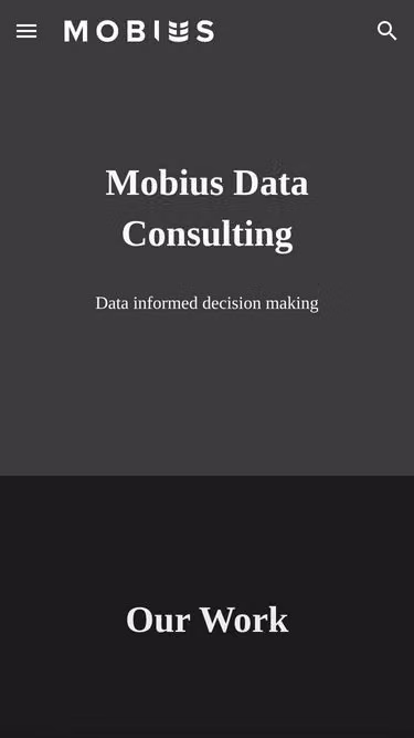 Screenshot of mobius.contractors