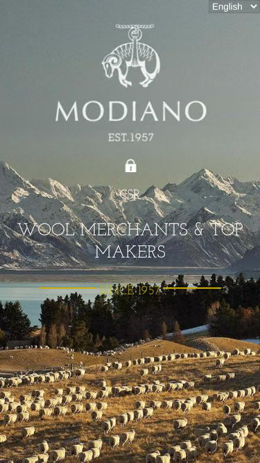 Screenshot of modiano.co.za